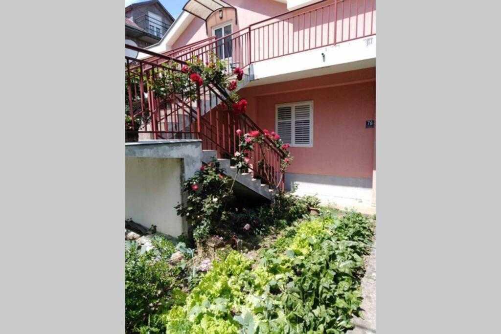 Apartman Danica Herceg Novi Exterior photo